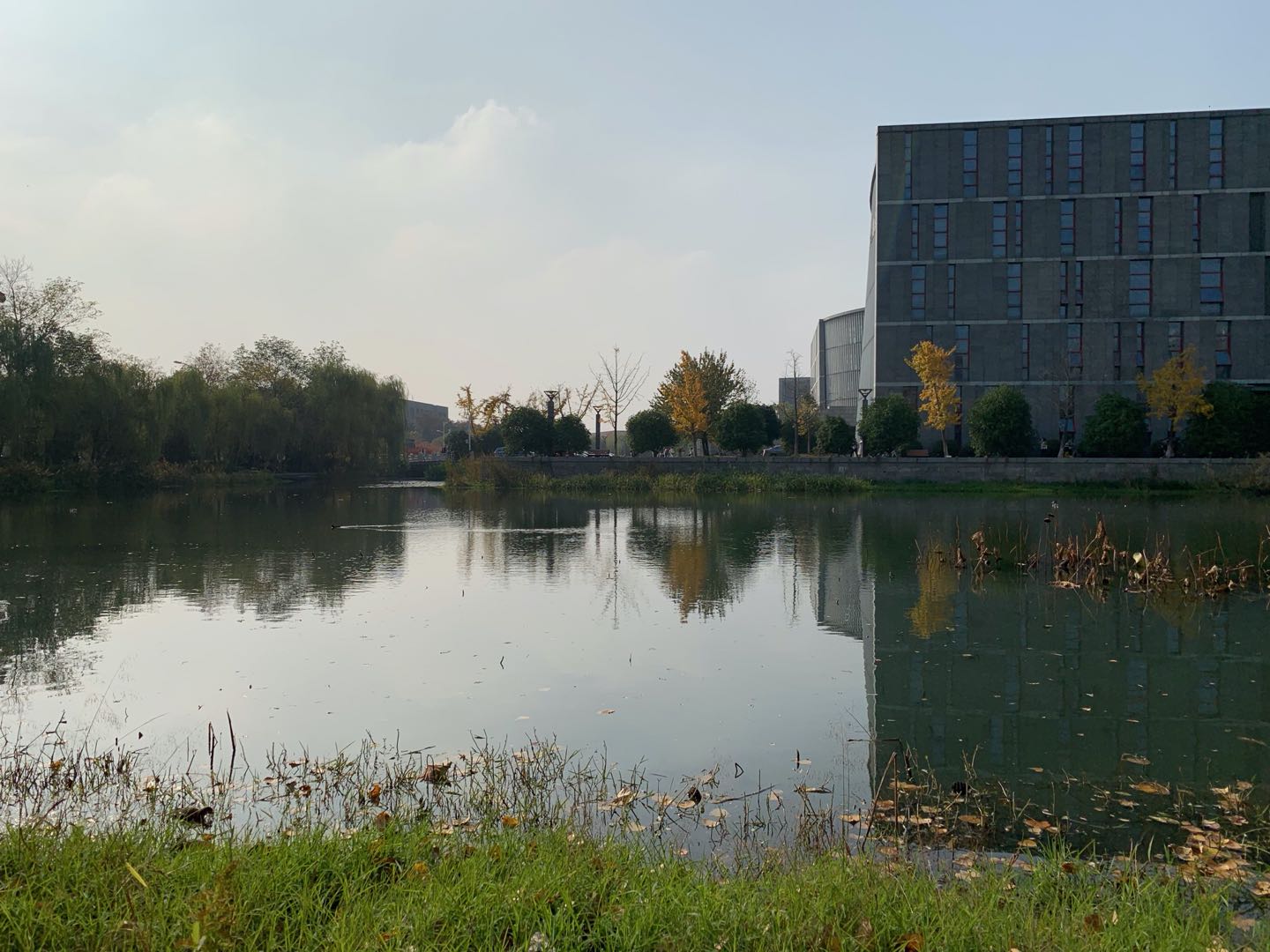 Herbst in Nanjing III