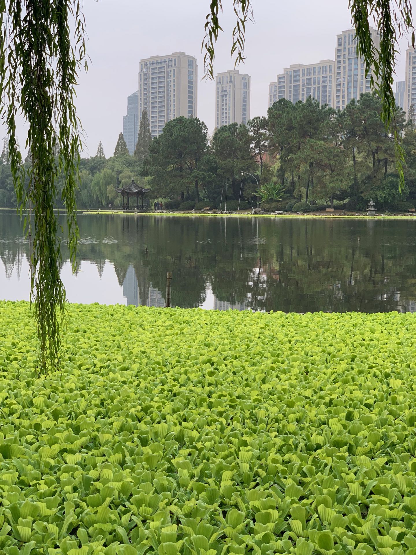 Herbst in Hangzhou